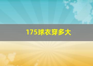 175球衣穿多大