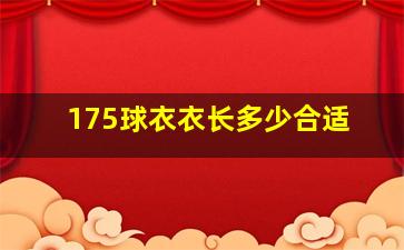 175球衣衣长多少合适