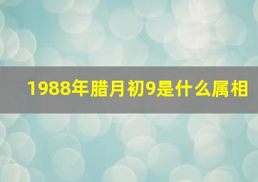 1988年腊月初9是什么属相