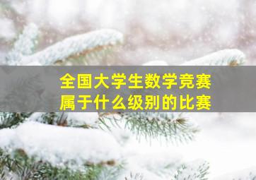 全国大学生数学竞赛属于什么级别的比赛