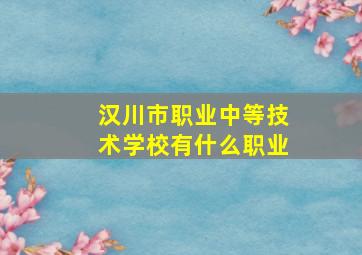 汉川市职业中等技术学校有什么职业