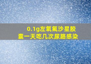 0.1g左氧氟沙星胶囊一天吃几次尿路感染