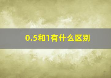 0.5和1有什么区别