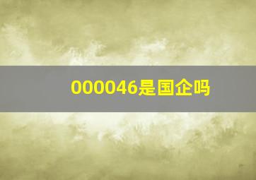 000046是国企吗