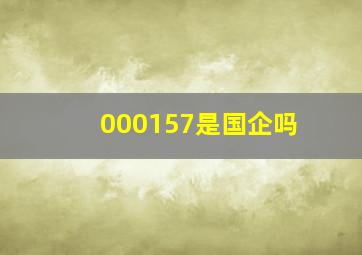 000157是国企吗