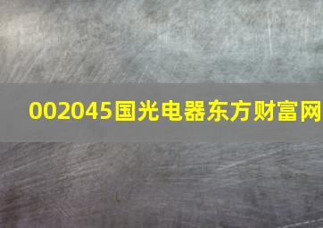 002045国光电器东方财富网