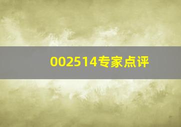 002514专家点评