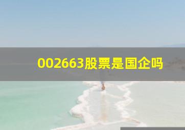 002663股票是国企吗