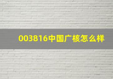 003816中国广核怎么样