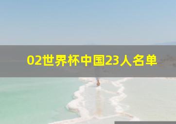 02世界杯中国23人名单