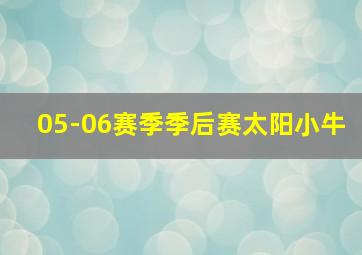 05-06赛季季后赛太阳小牛