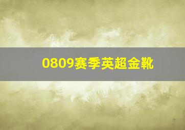 0809赛季英超金靴