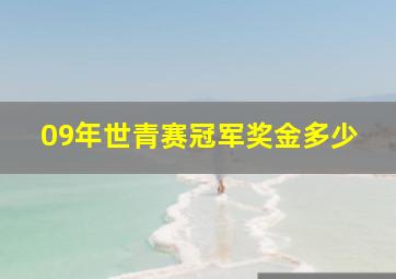 09年世青赛冠军奖金多少