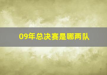 09年总决赛是哪两队