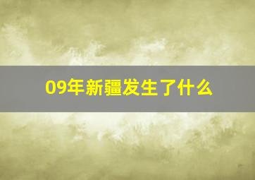 09年新疆发生了什么