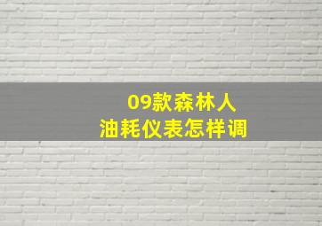 09款森林人油耗仪表怎样调