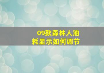 09款森林人油耗显示如何调节