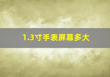 1.3寸手表屏幕多大