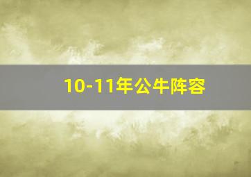 10-11年公牛阵容