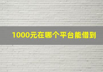 1000元在哪个平台能借到