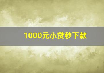 1000元小贷秒下款