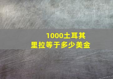 1000土耳其里拉等于多少美金