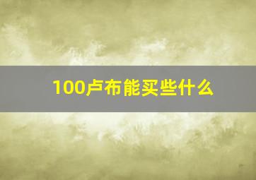 100卢布能买些什么