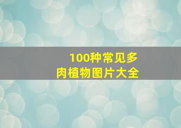 100种常见多肉植物图片大全