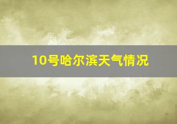 10号哈尔滨天气情况