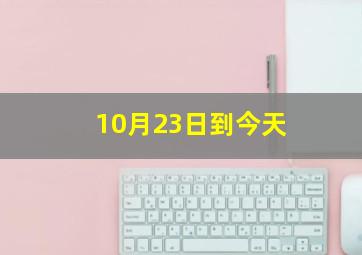 10月23日到今天