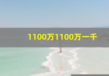 1100万1100万一千