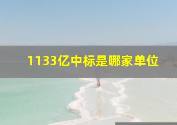 1133亿中标是哪家单位