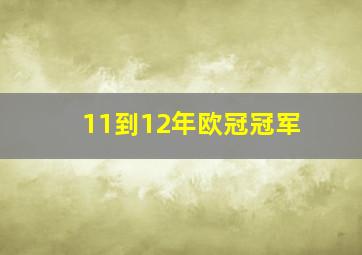 11到12年欧冠冠军