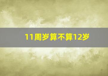 11周岁算不算12岁