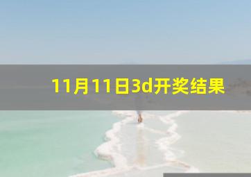 11月11日3d开奖结果