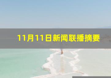 11月11日新闻联播摘要