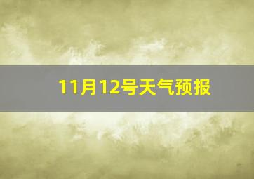 11月12号天气预报