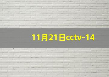 11月21日cctv-14