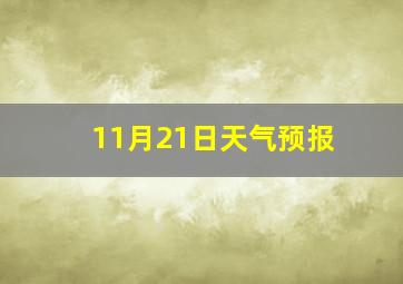 11月21日天气预报