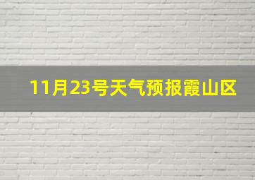 11月23号天气预报霞山区