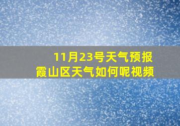 11月23号天气预报霞山区天气如何呢视频