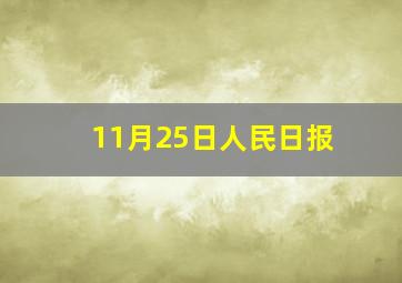 11月25日人民日报