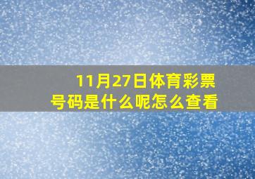 11月27日体育彩票号码是什么呢怎么查看