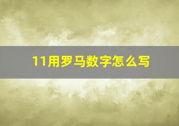 11用罗马数字怎么写