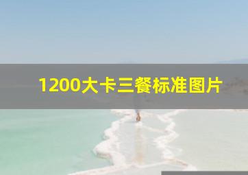 1200大卡三餐标准图片