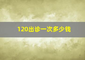 120出诊一次多少钱