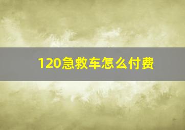 120急救车怎么付费