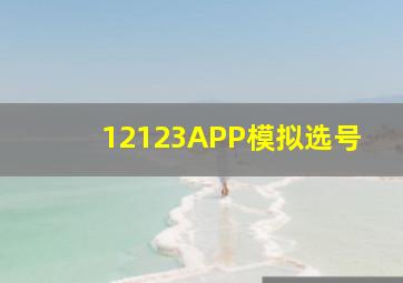 12123APP模拟选号