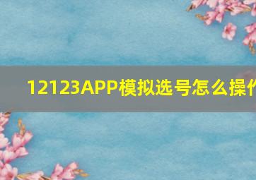 12123APP模拟选号怎么操作