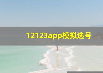 12123app模拟选号